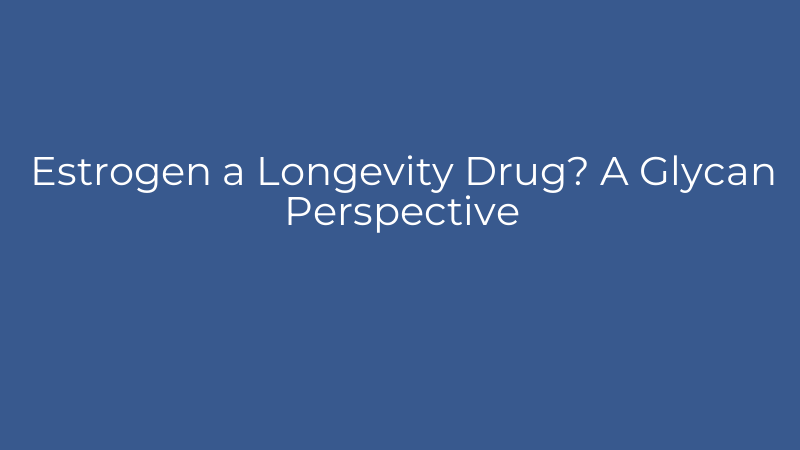 Estrogen a Longevity Drug? A Glycan Perspective