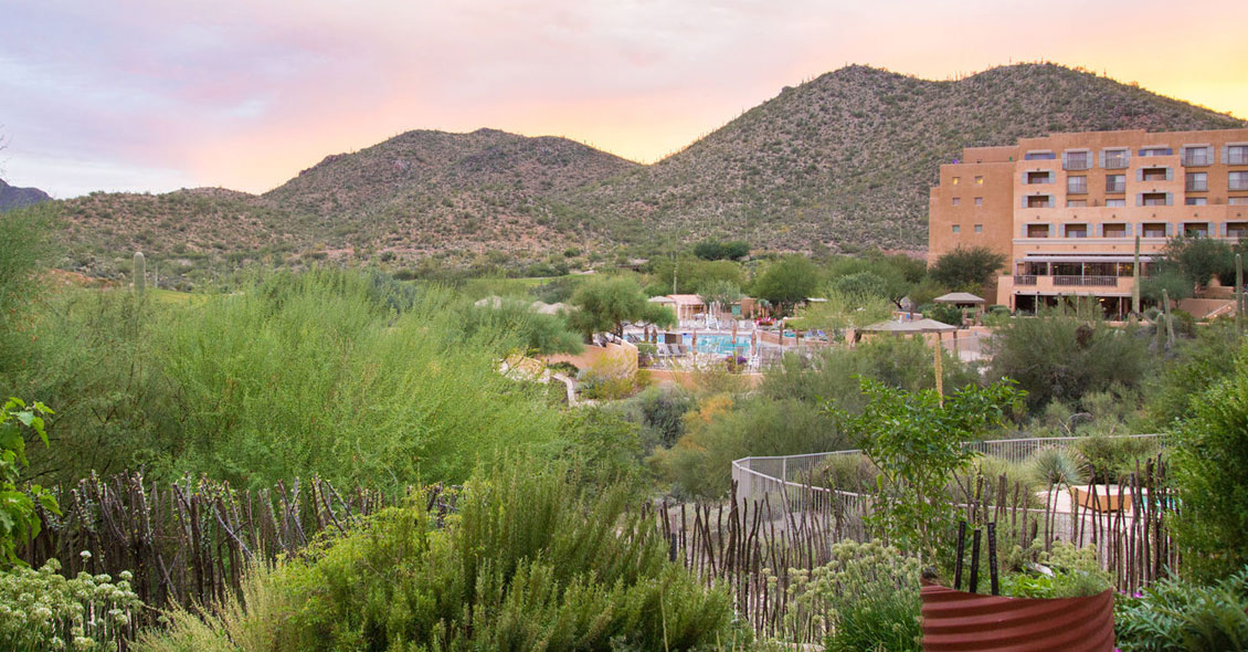 Age Management Medicine Group AMMG Conference November 2018 Tucson Arizona JW Marriott Starr Hotel Mountains