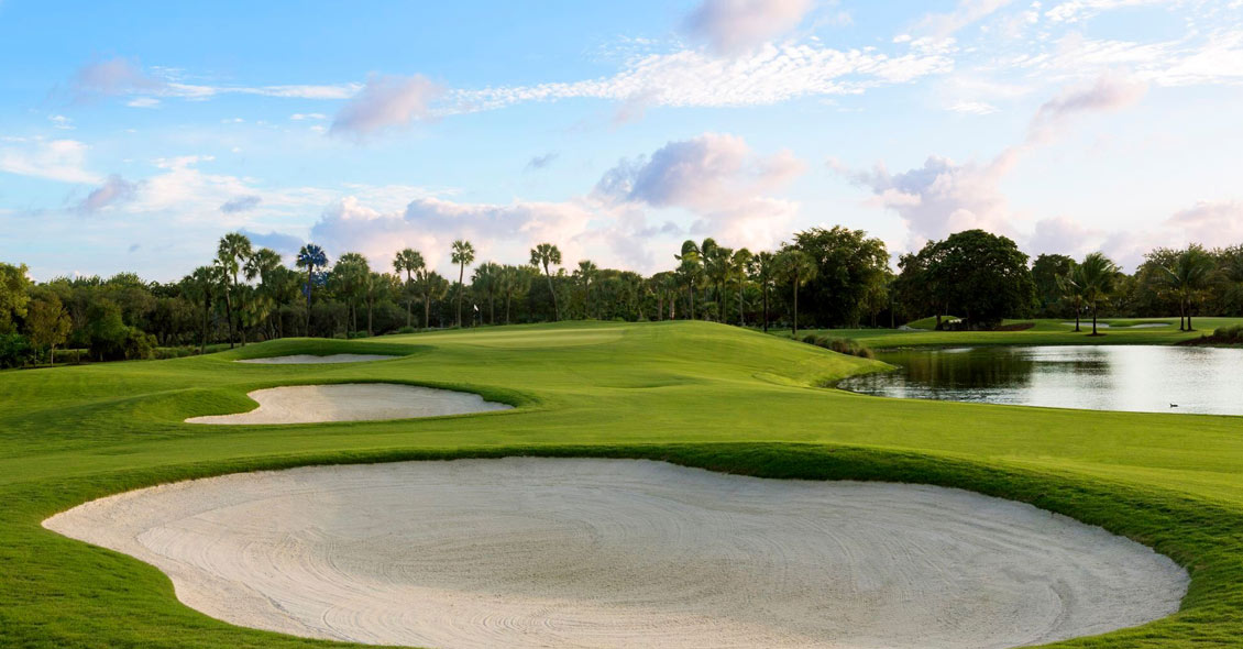 Age Management Medicine Group AMMG Conference April 2019 NATIONAL DORAL MIAMI RESORT Golf Course