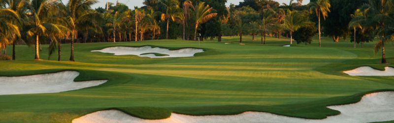 Age Management Medicine Group AMMG Conference April 2019 NATIONAL DORAL MIAMI RESORT Golf Course