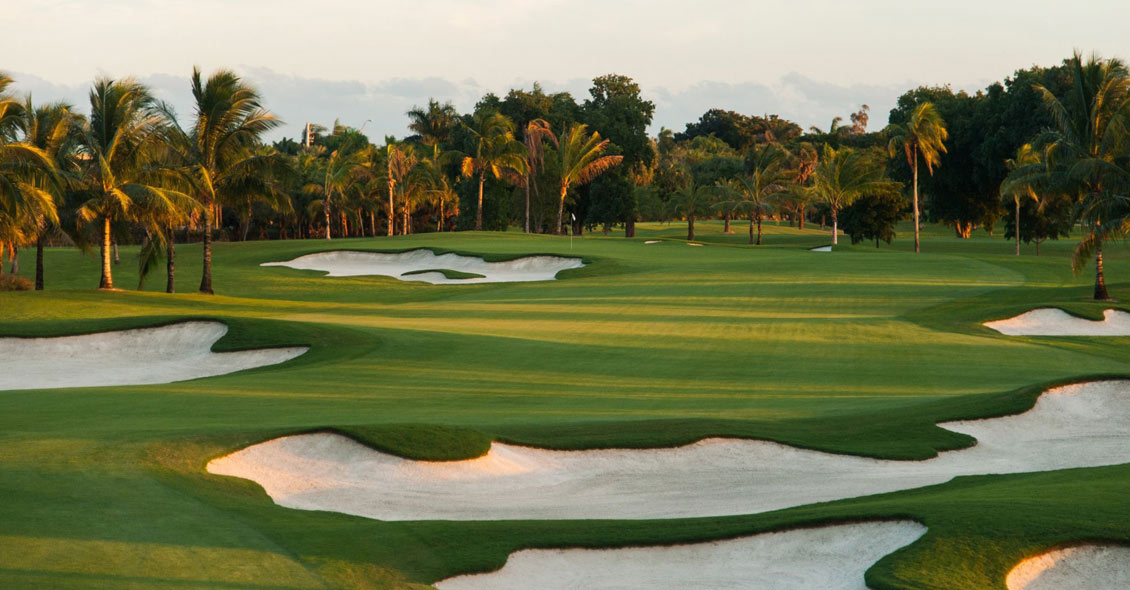 Age Management Medicine Group AMMG Conference April 2019 NATIONAL DORAL MIAMI RESORT Golf Course