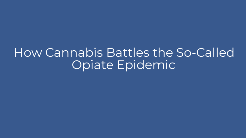 How Cannabis Battles the So-Called Opiate Epidemic