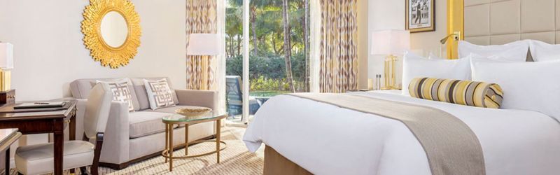 Age Management Medicine Group AMMG Conference April 2019 NATIONAL DORAL MIAMI RESORT One Bedroom