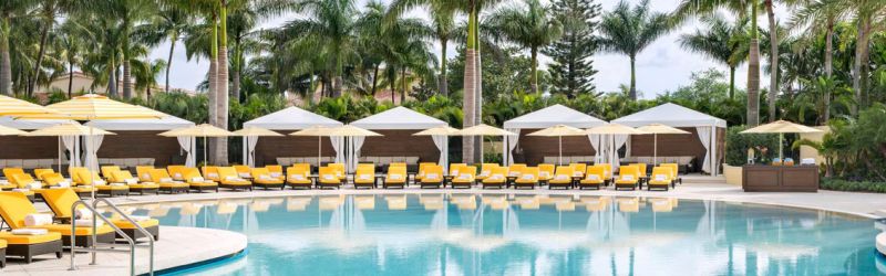 Age Management Medicine Group AMMG Conference April 2019 NATIONAL DORAL MIAMI RESORT Pool