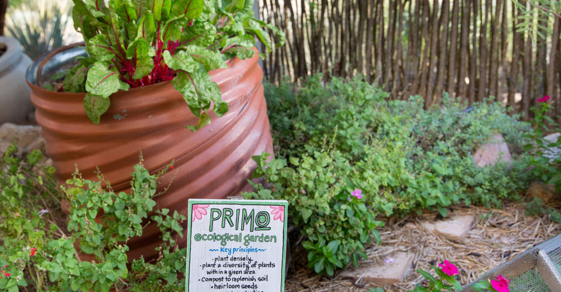 Age Management Medicine Group AMMG Conference November 2018 Tucson Arizona JW Marriott Starr Hotel Garden