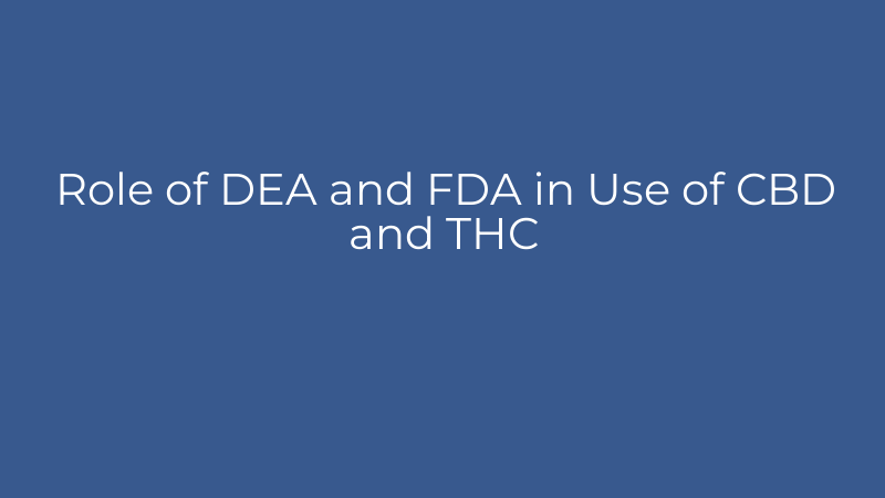 Role of DEA and FDA in Use of CBD and THC