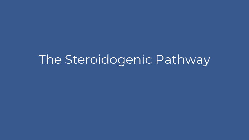 The Steroidogenic Pathway